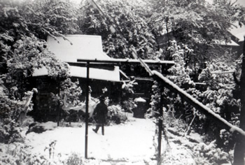 The shed in snow